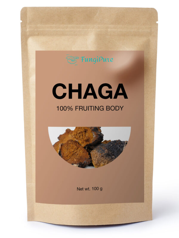 FungiPure Chaga Mushroom Extract Powder, 100g